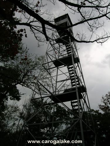 Kane Mountain Fire Tower Trail 36