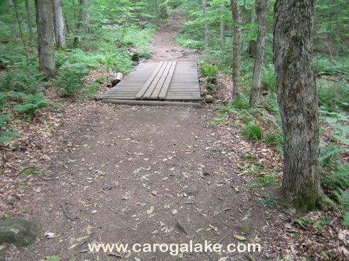 Nine Cornered Lake Trail 05